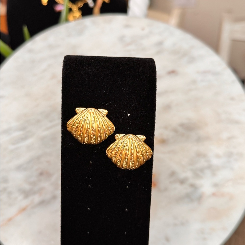 Golden Seashell Stud Earrings